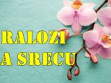 Svetli Dani Pred vama: Lav, Rak i Vaga Pred vama je period  Srećom i Ispunjen.