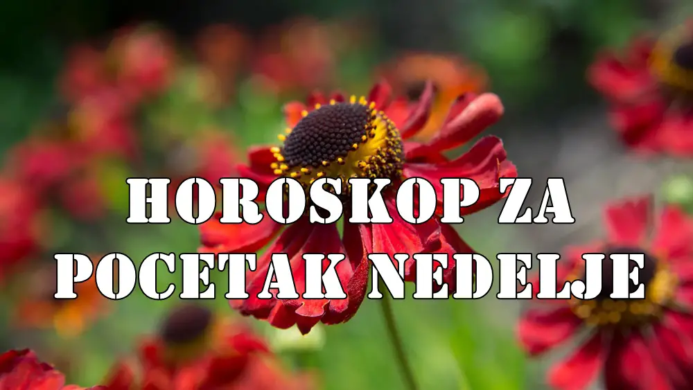 Horoskop za pocetak nedelje za sve znake zodijaka. Horoskop za pocetak nedelje za sve znake zodijaka.