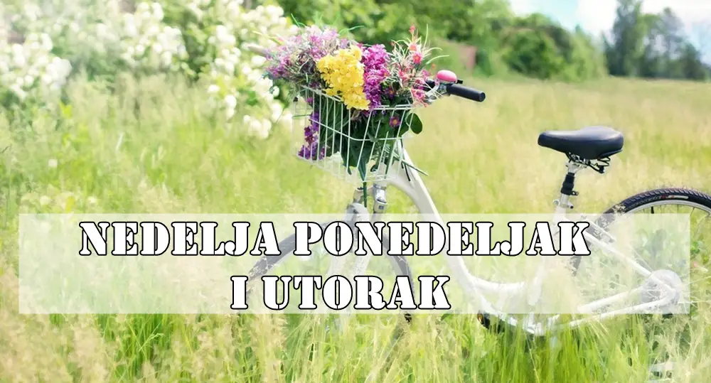 Nedelja ponedeljak i utorak saznajte sta vas to ceka. Nedelja ponedeljak i utorak saznajte sta vas to ceka.