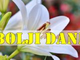 Bolji dani dolaze ovim znacima zodijaka .