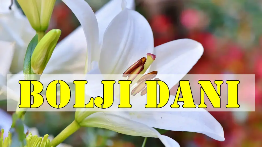 Bolji dani dolaze ovim znacima zodijaka . Bolji dani dolaze ovim znacima zodijaka .