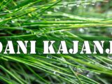 Dani kajanja dolaze… ali i šansa za ispravku! Za Strelca i Blizance