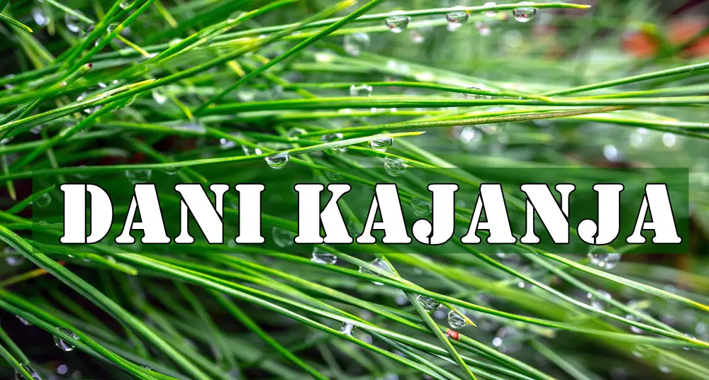 Dani kajanja dolaze… ali i šansa za ispravku! Za Strelca i Blizance Dani kajanja dolaze… ali i šansa za ispravku! Za Strelca i Blizance