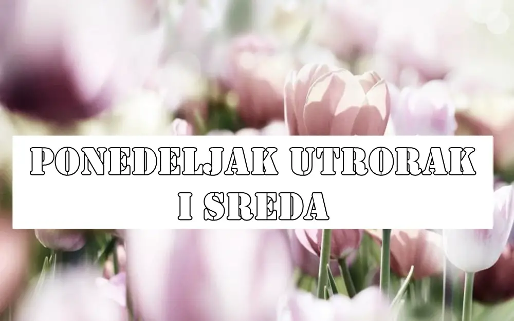 Ponedeljak utorak i sreda tri dana pred nama puna iznenadjenja…. Ponedeljak utorak i sreda tri dana pred nama puna iznenadjenja….