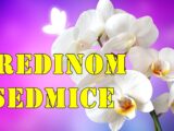 Horoskop za Sredinu Sedmice (21. – 23. maj 2025.) za sve znake zodijaka.
