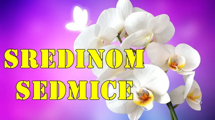 Horoskop za Sredinu Sedmice (21. – 23. maj 2025.) za sve znake zodijaka.
