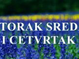Utorak sreda i cetvrtak veoma vazni dani su pred vama .