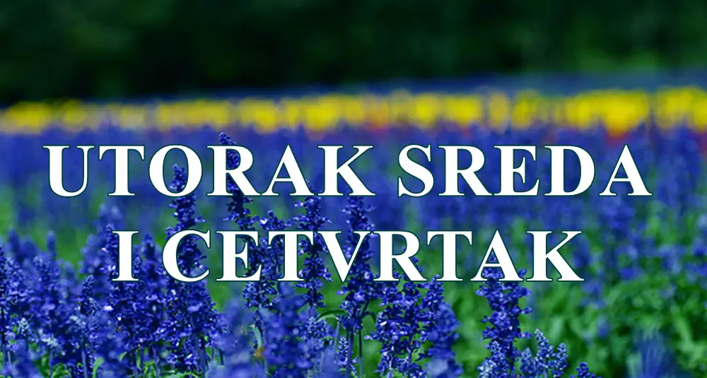 Utorak sreda i cetvrtak veoma vazni dani su pred vama . Utorak sreda i cetvrtak veoma vazni dani su pred vama .