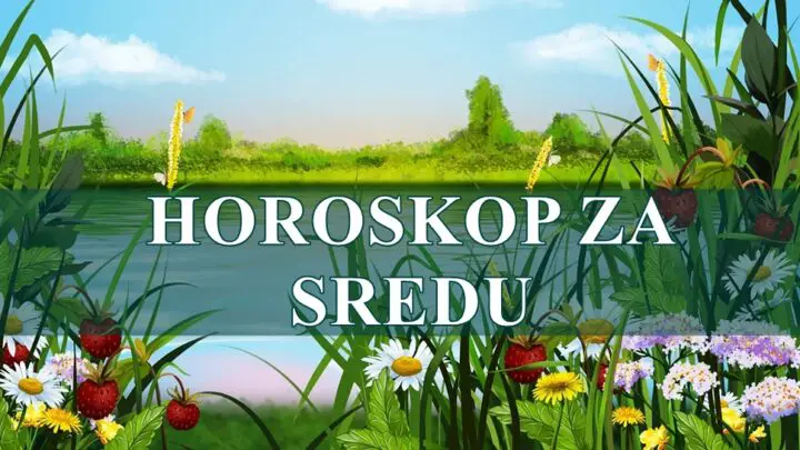 RAKOVI  danas ste pomalo rasejani , male greske stvaraju velike posledice.