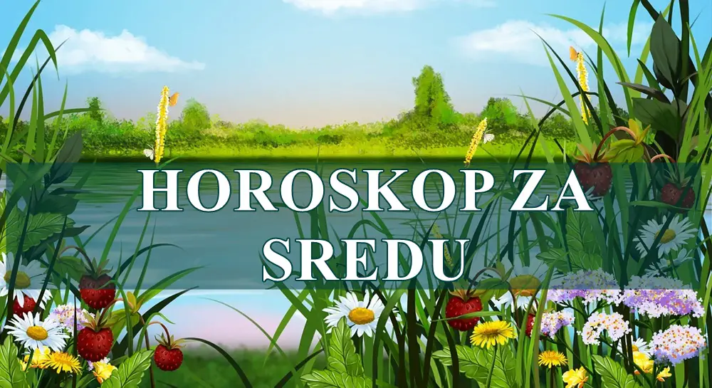 RAKOVI danas ste pomalo rasejani , male greske stvaraju velike posledice. RAKOVI danas ste pomalo rasejani , male greske stvaraju velike posledice.