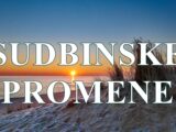 Bilo da ste Bik, Riba ili Škorpija, sudbina vam tokom poslednje dekade juna i početkom jula 2025. donosi prilike za neočekivane, duboke i transformativne susrete.