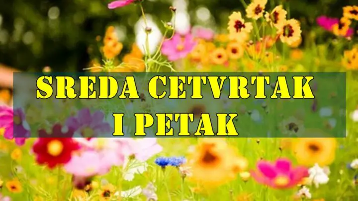 Sreda cetvrtak i petak ispred nekoga su tri idealna dana !