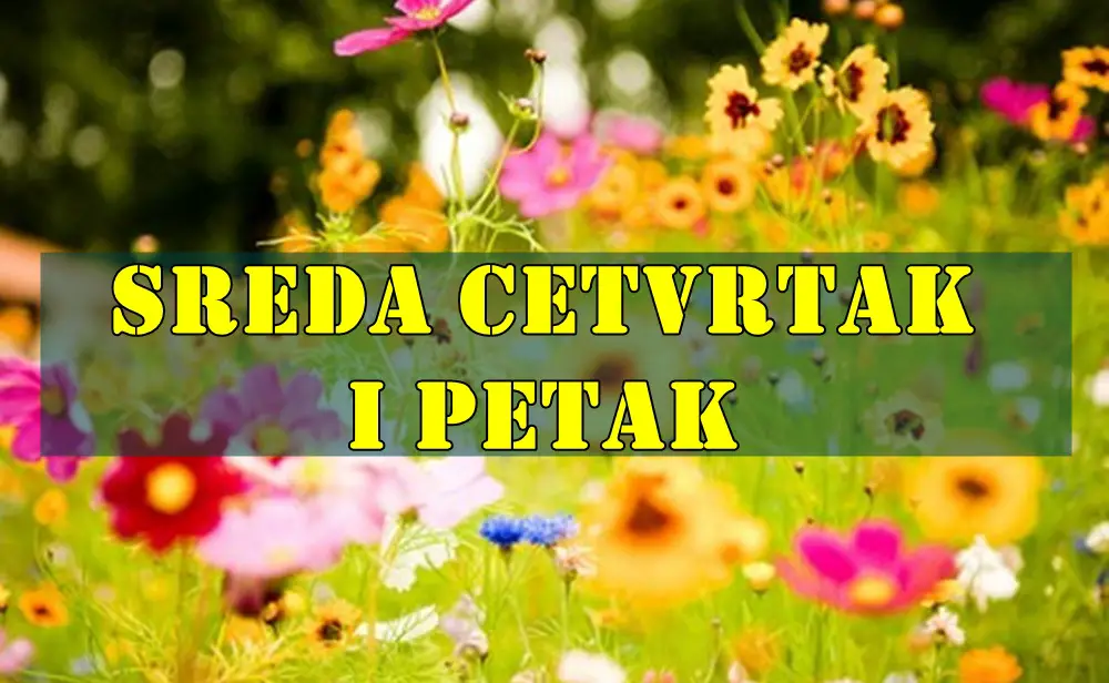 Sreda cetvrtak i petak ispred nekoga su tri idealna dana ! Sreda cetvrtak i petak ispred nekoga su tri idealna dana !