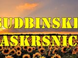 Sudbinske raskrsnice tokom druge polovine juna za sve znake zodijaka.