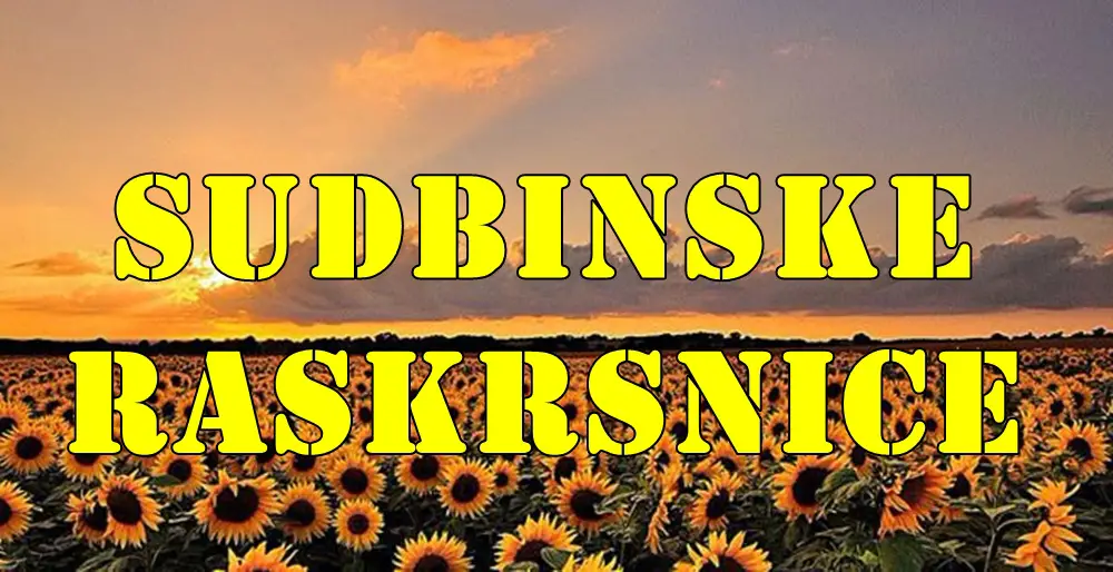 Sudbinske raskrsnice tokom druge polovine juna za sve znake zodijaka. Sudbinske raskrsnice tokom druge polovine juna za sve znake zodijaka.