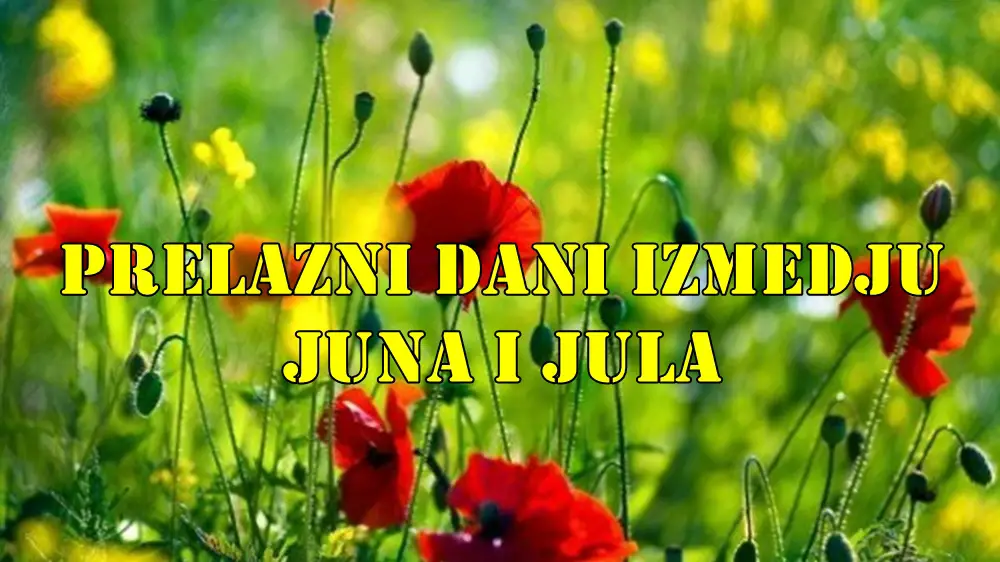 Prelazni dani između juna i jula 2025. godine donose zanimljive astrološke utjecaje koji će se odraziti na sve znakove Zodijaka. Prelazni dani između juna i jula 2025. godine donose zanimljive astrološke utjecaje koji će se odraziti na sve znakove Zodijaka.