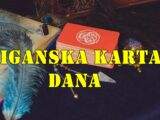 ♑ JARAC – Karta: UDOVICA  Duboka poruka: Osećaj praznine ili tuge dolazi iz prošlosti – izgubljene prilike, ljubavi, snovi.