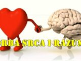 Sutra Merkur i Jupiter ulaze u znak Raka nastaje borba srca i razuma.