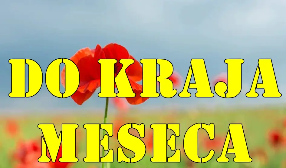 Sva tri znaka, Devica, Škorpija i Lav, imaju priliku za ogroman prosperitet i olakšanje do kraja juna. Sva tri znaka, Devica, Škorpija i Lav, imaju priliku za ogroman prosperitet i olakšanje do kraja juna.