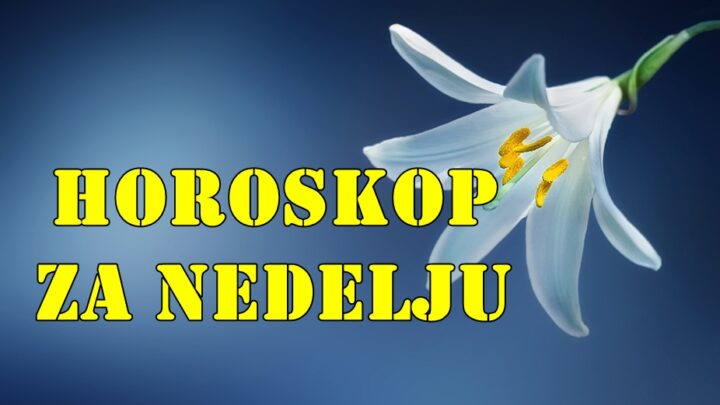 Danas vam zvezde savetuju da se fokusirate na introspekciju i odmor dragi Lavovi.