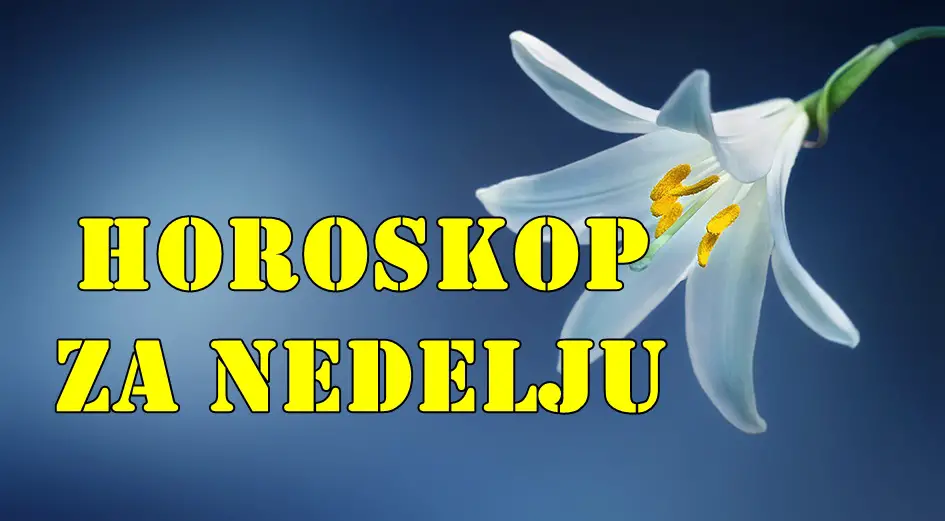 Danas vam zvezde savetuju da se fokusirate na introspekciju i odmor dragi Lavovi. Danas vam zvezde savetuju da se fokusirate na introspekciju i odmor dragi Lavovi.
