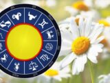 Sjajni Rezultati Truda Konačno Dolaze Ovim Znakovima Zodijaka!