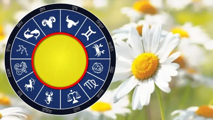 Sjajni Rezultati Truda Konačno Dolaze Ovim Znakovima Zodijaka!
