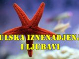 Julska Iznenađenja i Ljubavi za Sve Znakove Zodijaka!