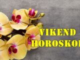 Pred nama je vikend pun dubokih emocija, intuitivnih spoznaja i karmičkih poruka, od petka 6. juna do nedelje 8. juna 2025. godine