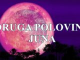 Druga polovina juna za sve znake zodijaka .