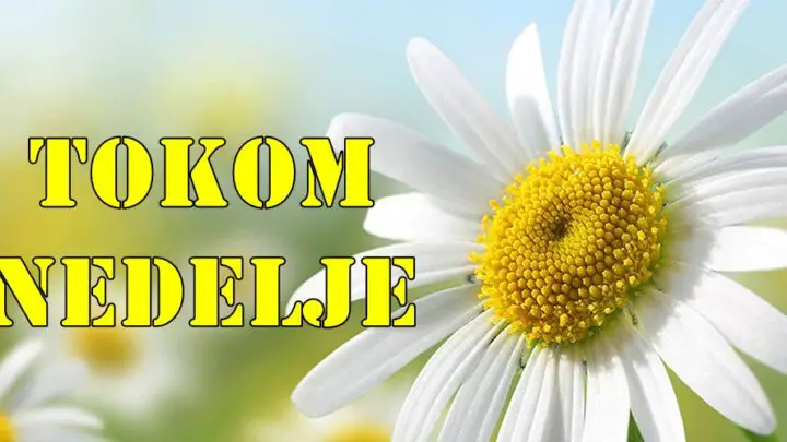Tokom nedelje Ovna ocekuje vrtlog sudbine a Skorpiju duboka transformacija.