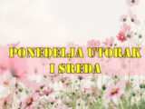 Evo detaljnog horoskopa za ponedeljak, utorak i sredu (21. – 23. jul 2025.) za sve znakove Zodijaka.
