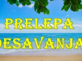Leto im nije lepo pocelo ali sada ocekuju sjajna desavnja .