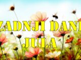 Zadnji dani Jula donose velike emocije za sve znakove!