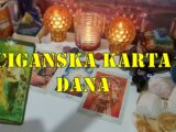 STRELAC  Karta: Pas 🐕 Sudbina & Ljubav: Danas ti odanost i podrška dolaze kroz prijateljstvo koje prerasta u ljubav