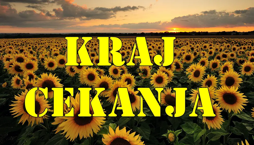 Kraj je cekanju za ova tri znaka zodijaka sve se okrece u njihovu korist skorpija ribe i lav ! Kraj je cekanju za ova tri znaka zodijaka sve se okrece u njihovu korist skorpija ribe i lav !