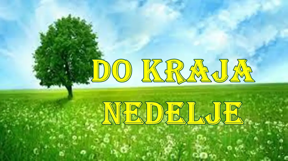 Horoskop do kraja nedelje za sve znake zodijaka. Horoskop do kraja nedelje za sve znake zodijaka.