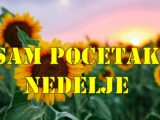 Sam pocetak nedelje mesec je u raku i prelazi u lava pa donosi emotivne oscilacije, poriv za bliskošću, ali i jaku želju za priznanjem, pažnjom i ljubavnim potvrđivanjem.