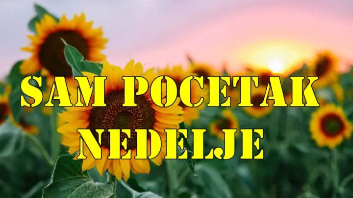 Sam pocetak nedelje mesec je u raku i prelazi u lava pa donosi emotivne oscilacije, poriv za bliskošću, ali i jaku želju za priznanjem, pažnjom i ljubavnim potvrđivanjem.