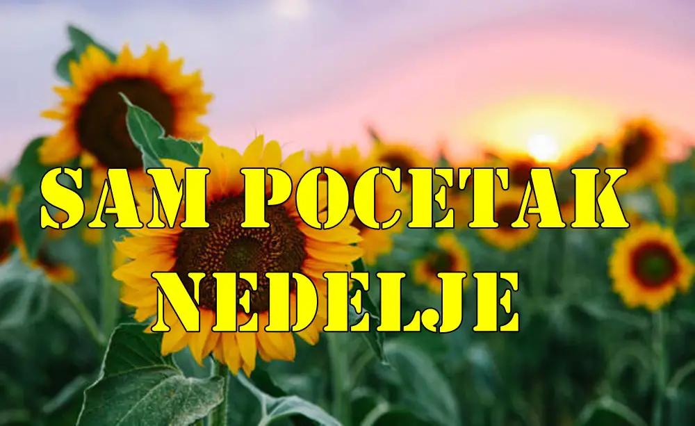 Sam pocetak nedelje mesec je u raku i prelazi u lava pa donosi emotivne oscilacije, poriv za bliskošću, ali i jaku želju za priznanjem, pažnjom i ljubavnim potvrđivanjem. Sam pocetak nedelje mesec je u raku i prelazi u lava pa donosi emotivne oscilacije, poriv za bliskošću, ali i jaku želju za priznanjem, pažnjom i ljubavnim potvrđivanjem.