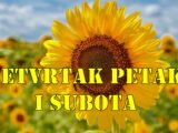 Mirni dani za Devicu dobre vesti za Lava a sta se vama desava ?