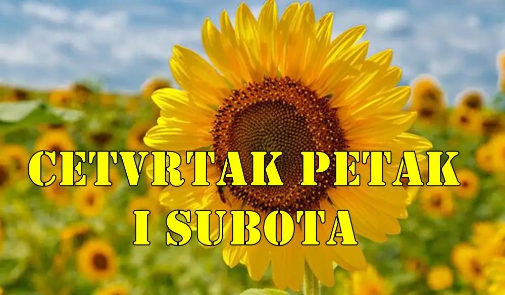 Mirni dani za Devicu dobre vesti za Lava a sta se vama desava ? Mirni dani za Devicu dobre vesti za Lava a sta se vama desava ?