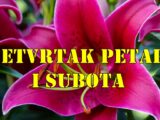 Cetvrtak petak i subota neki znaci su puni energije a nekima ovi dani padaju tesko.