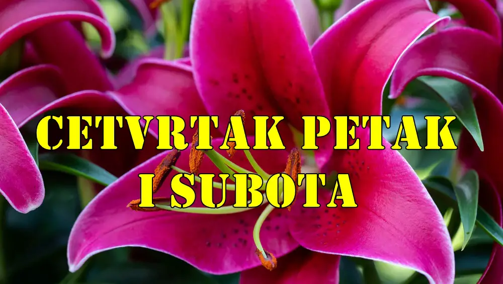 Cetvrtak petak i subota neki znaci su puni energije a nekima ovi dani padaju tesko.