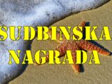 Velika nagrada od sudbine stiže za ova četiri znaka Zodijaka u naredne dve sedmice!