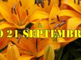 Horoskop do 21 septembra ljubav zdravlje i posao za sve znake zodijaka.