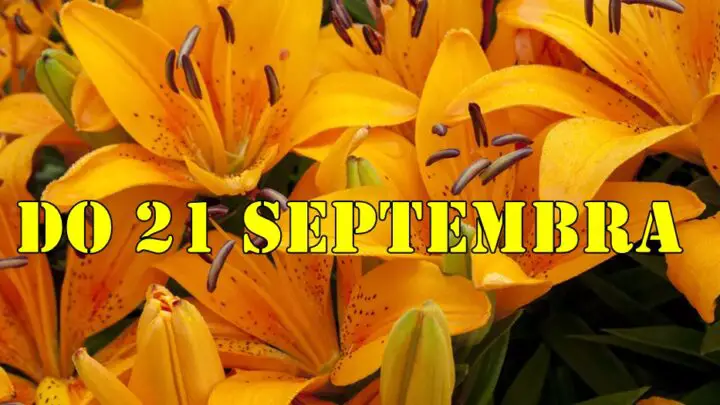 Horoskop do 21 septembra ljubav zdravlje i posao za sve znake zodijaka.