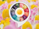 Devica i bik u problemima Strelac razocaran Blizanac ne zna gde se nalazi a sta sledi ostalim zancima zodijaka ?