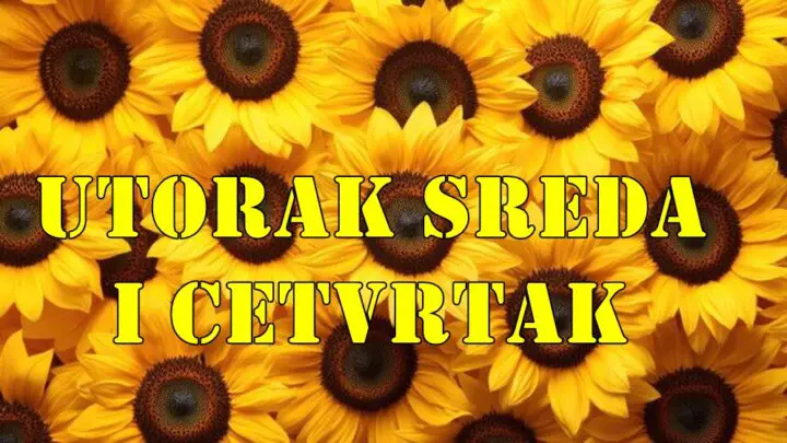 Utorak sreda i cetvrtak neko stoji na prekretnici a neko samo uziva.