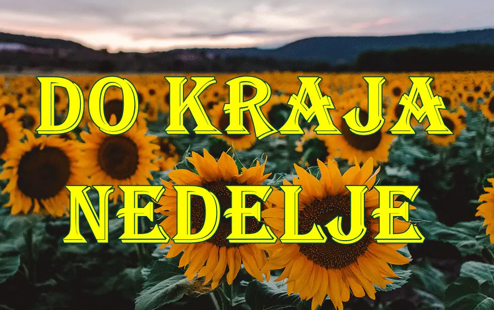 Evo pregleda astroloških prognoza za sve horoskopske znakove do kraja nedelje Evo pregleda astroloških prognoza za sve horoskopske znakove do kraja nedelje